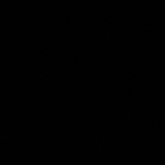 Meet your Posher, Sabrina - Picture 1 of 1